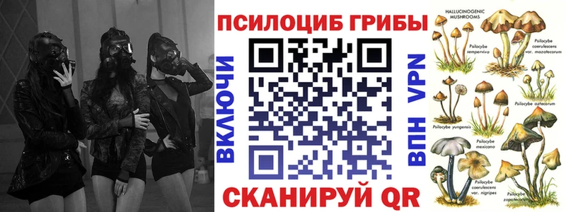 закладки  OMG онион  Псилоцибиновые грибы Magic Shrooms  Октябрьск 